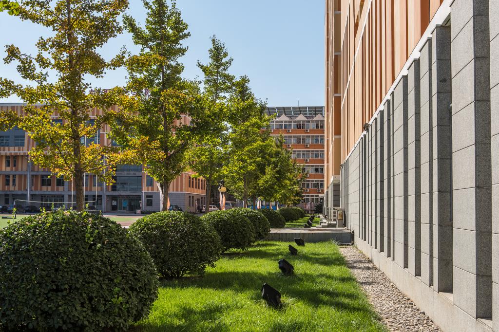 2020，一起来听北交院人的新年FLAG！