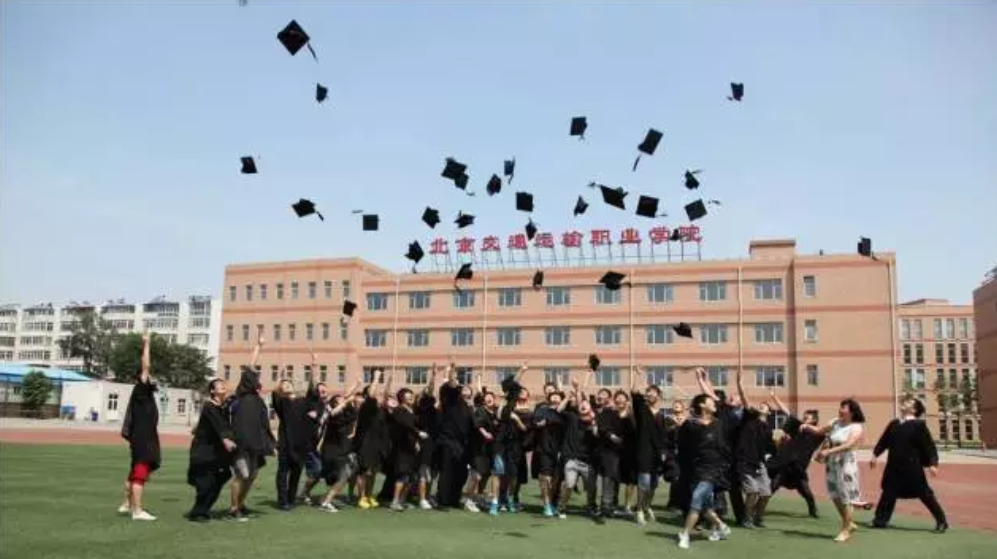 学在交通运输，就业一路畅通