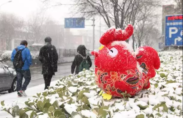 春雪落北京 | 跟着交院一起扫雪吧！