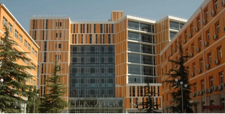 【贯通培养】taptap点点体育：首年加入贯通培养项目 两大类专业招生180人