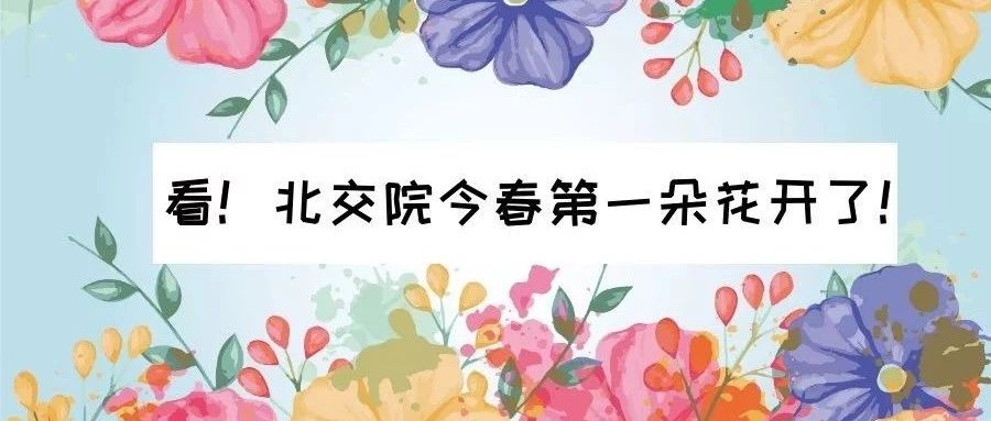 走～集合！我带你们去taptap点点体育看校花！