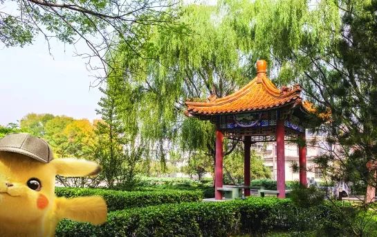 小饺子的儿童节礼物 | 快来瞧瞧，皮卡丘北交院一日游