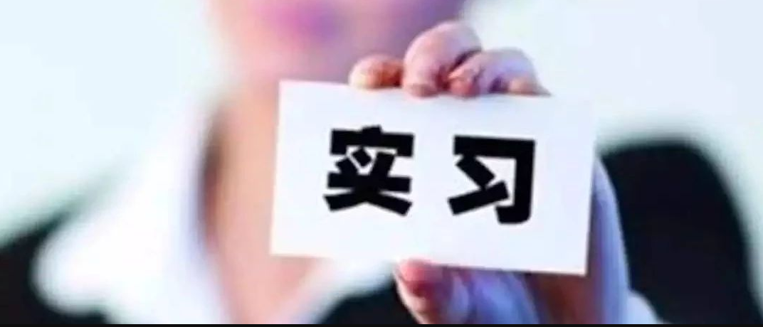 在实践中成长丨我们的暑期实习之旅