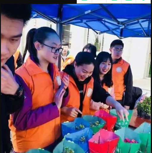 【热帖】400盆绿植领养现场，“青”“春”盎然