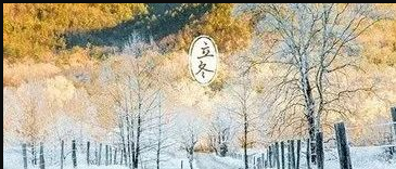 立冬，一年的最后一个季节！
