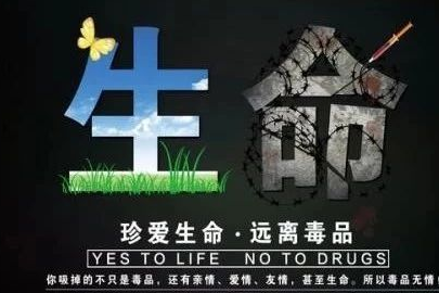 汽车工程系心理健康&禁毒知识竞赛