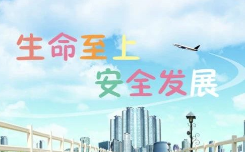 志愿服务丨全国安全宣传咨询日活动